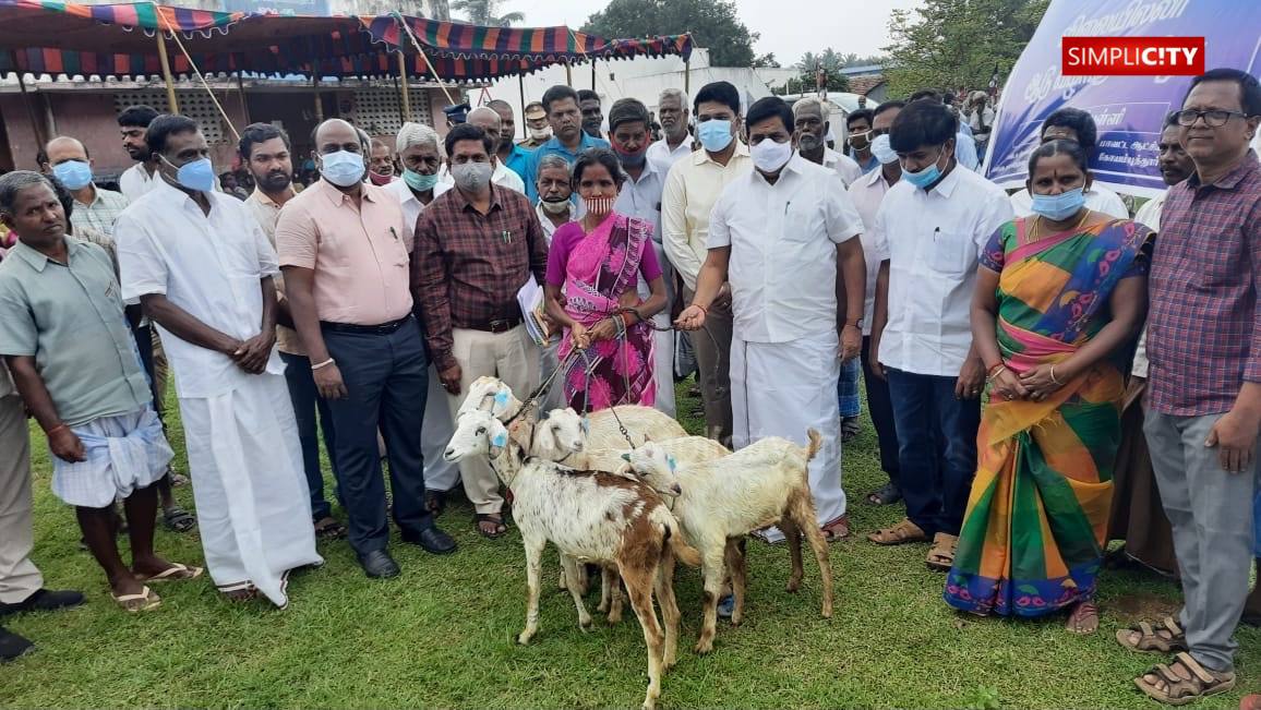 Bird flu has been prevented from entering Tamil Nadu: Minister of Animal  Husbandry Udumalai Radhakrishnan - Simplicity