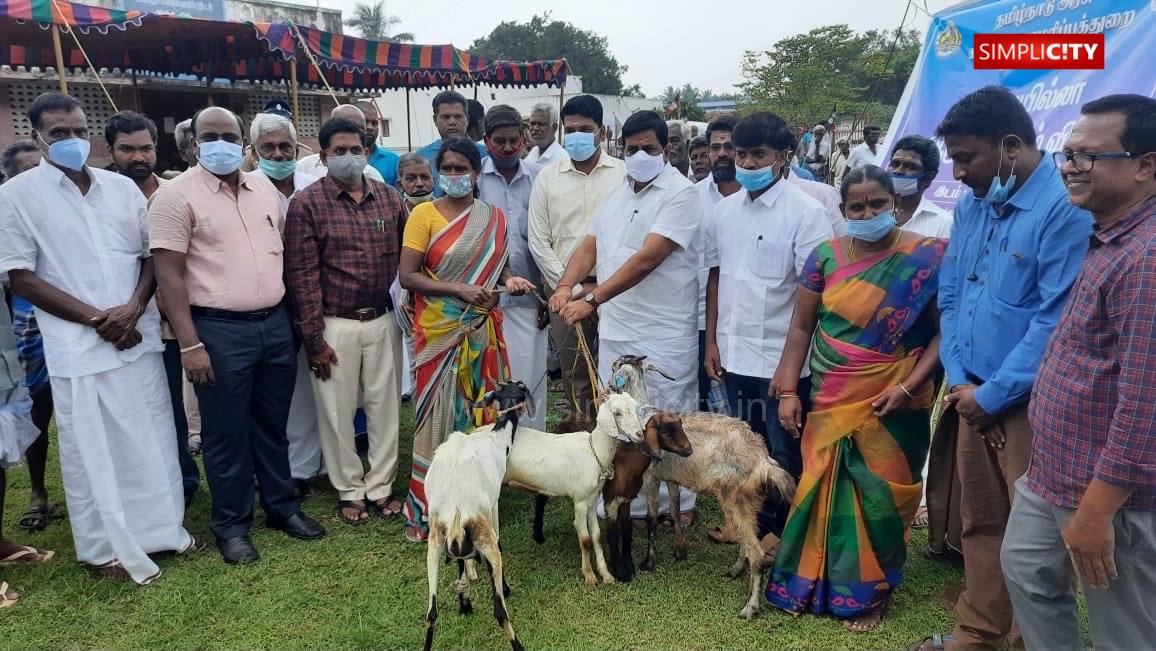 Bird flu has been prevented from entering Tamil Nadu: Minister of Animal  Husbandry Udumalai Radhakrishnan - Simplicity