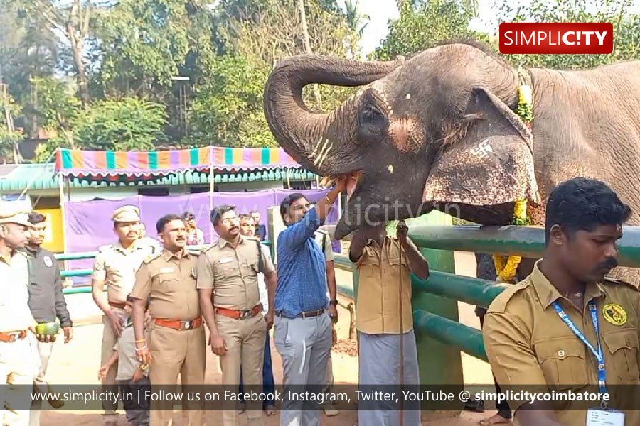 Topslip Tourism - Vinayaka Chathurthi was celebrated at Chinnar