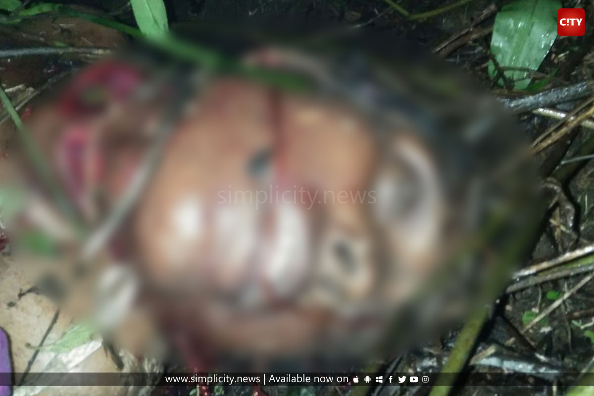Leopard attack claims the life of another woman in Valparai - Simplicity