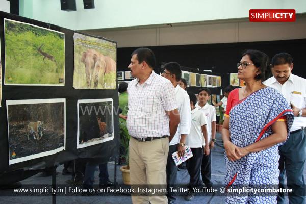 YuvaBharathi Public School hosts wildlife photography exhibition -  Simplicity