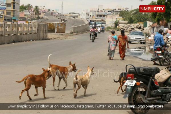 how many stray dogs are there in the us 2018